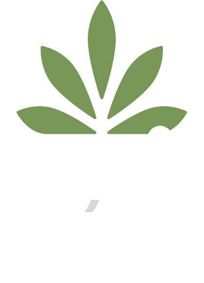 Oui-paille@2x.png